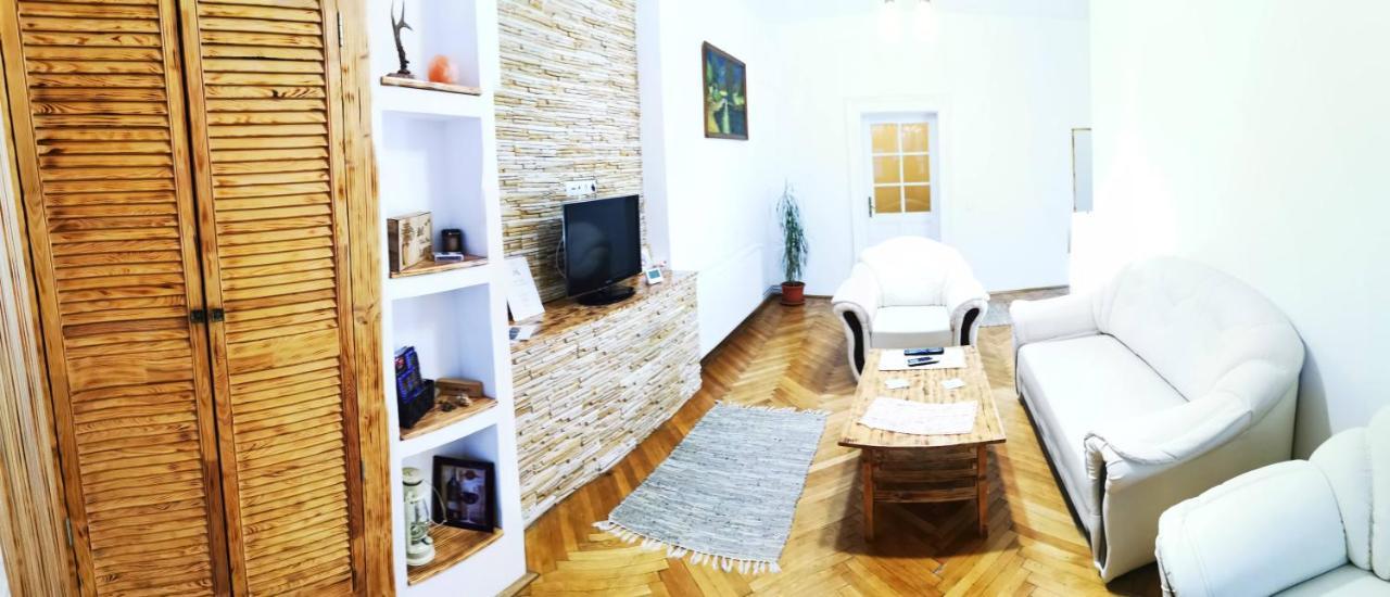 克卢日-纳波卡Apartament Hunter公寓 外观 照片